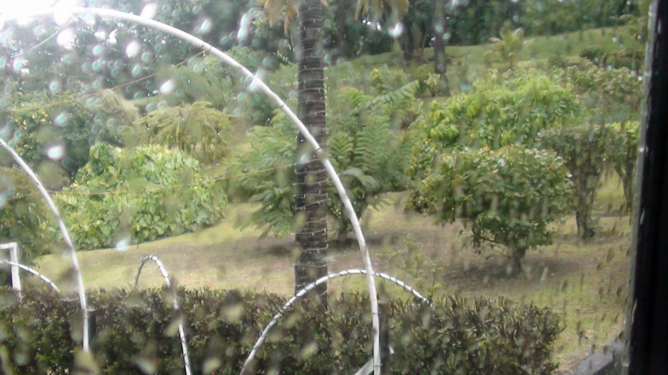 Botanic Garden St Vincent and Grenadines